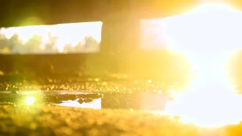 Water drops on puddle Stock Footage 83096711