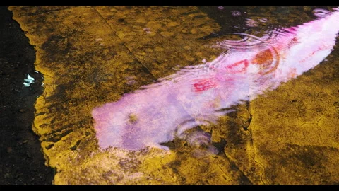 Water Drops in Puddle Stock Footage 303413813