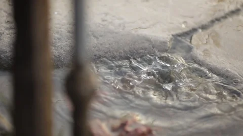 Water drops into a puddle on the ground Stock Footage 92713483