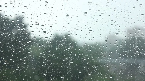 Water drops, rain Stock Footage 51242949