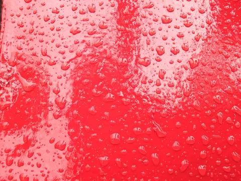 Water drops on red background  for backdrop design 写真素材