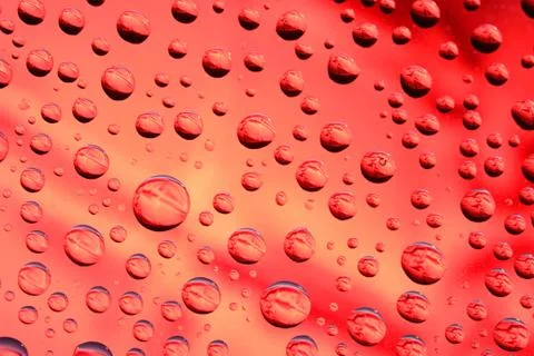 Water drops on red background Stock Photos