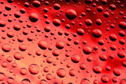 Water drops on red background Stock Photos