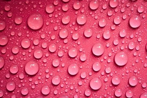 Water Drops On Red Background. Stock Photos