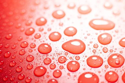 Water drops on a red background Stock Photos