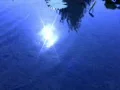 Water drops & Ripples on Lotus Pond Slow Motion Loop Web Footage