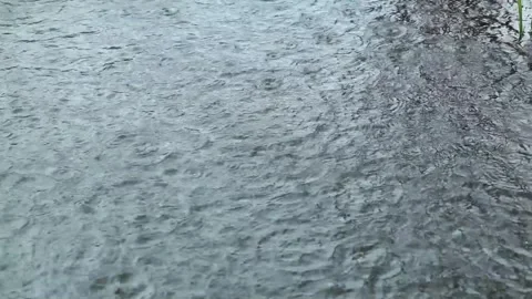 Water drops on the river 스톡 동영상 310919860