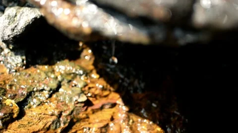 Water drops on the rocks Vidéo 8568323