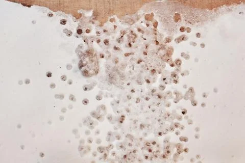 Water drops in the snow. It's spring 스톡 사진