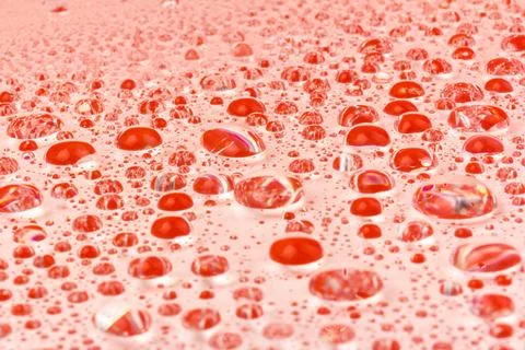 Water drops texture background. Water drops. Red.Selective focus. Stock Photos
