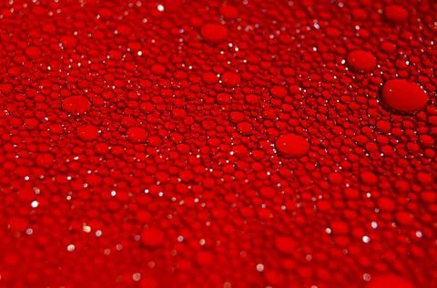 Water drops texture on red background . Stock Photos