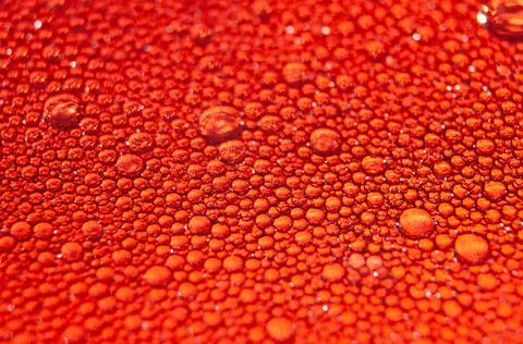Water drops texture on red background . Foto stock