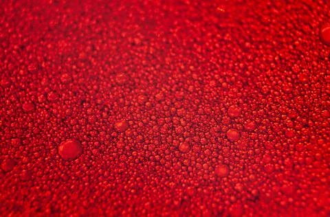 Water drops texture on red background . Stock Photos