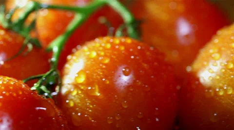 Water drops on tomatoes. Slider macro shot Stock Footage 35916159