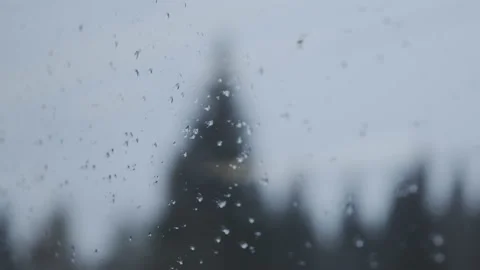 Water drops on train window forest at background. Pov tracking shot from train Video stock 146031625