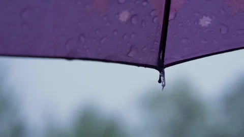 Water drops on an umbrella Stock Footage 107492137
