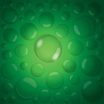 Water drops  vector Stock Illustration