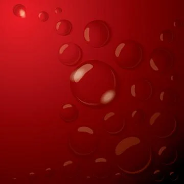 Water drops vector Stock Illustration