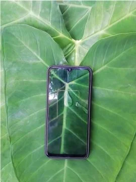 Water drops view through smart phone screen placed over the green leaves, cre Stock Photos