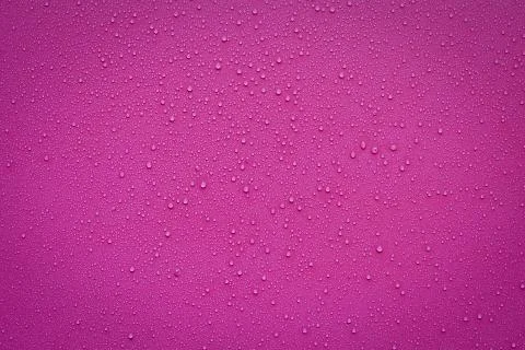 Water Drops On Violet Background. Stock Photos