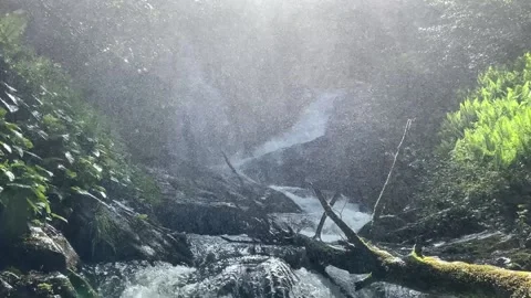 Water drops from a waterfall Stock Footage 150665258