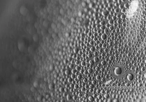 Water drops an white background Stock Photos