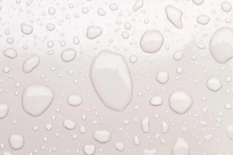 Water drops an white background Foto stock