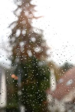 Water drops on a window with a blur tree in the background Stock-Fotos