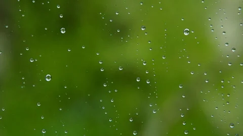 Water drops on the window Stock Footage 37317315