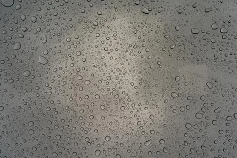 Water drops on a window Stock Photos