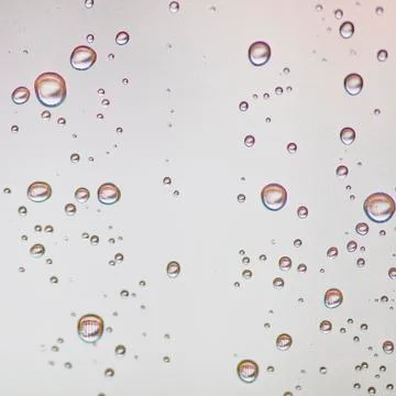 Water drops on the window. Stock Photos