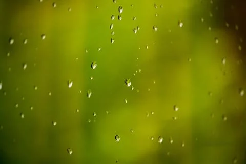 Water drops on a window Stock Photos