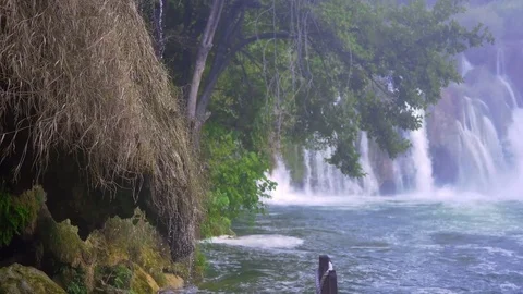 Water drups down grass and roots in Krka national park 스톡 동영상 71178018