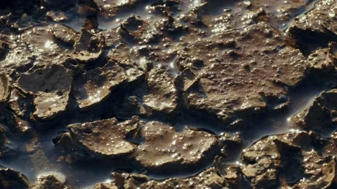 Water drying on cracked soil, drought coming after rain Stock-Footage 232588439