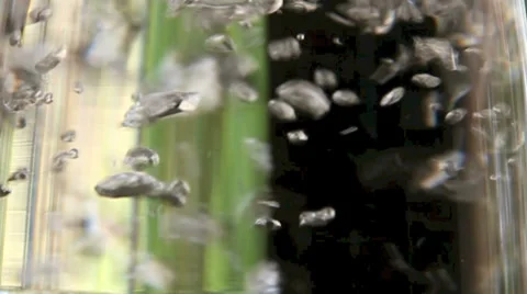 Water Effect 3 Stock Footage 33916233