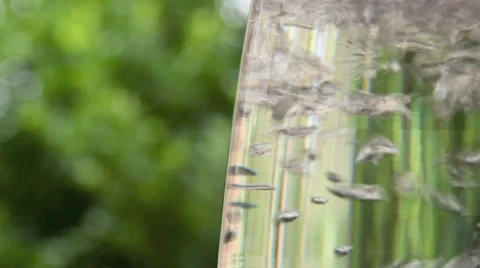 Water Effect 4 Stock Footage 33916313