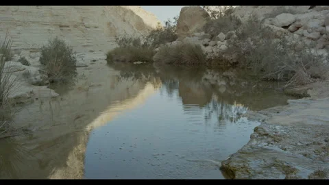 Water at Ein Avdat National Park (Negev Desert) Stock Footage 270191817