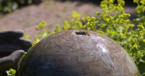 Water element in the garden Stock Footage 196281046