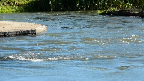 Water element in the spring, the river with a full-flowing stream after the desc Stock Footage 95927422
