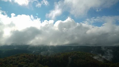 Water evaporating from forest - time lapse, 4K UHD Stock Footage 91674552
