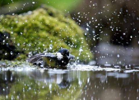 Water everywhere Stock Photos