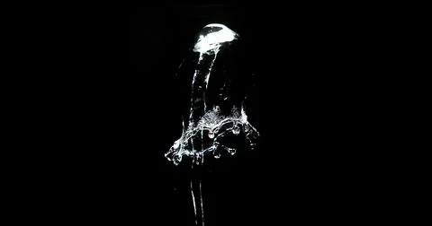 Water Exploding and Splashing against Black Background 写真素材