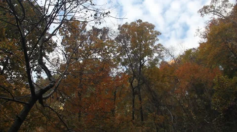 Water Fall and Sky 스톡 동영상 32371006