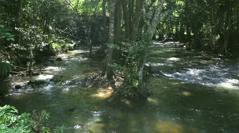 Water fall in deep forest kanchanaburi with audio Stock Footage 55503997