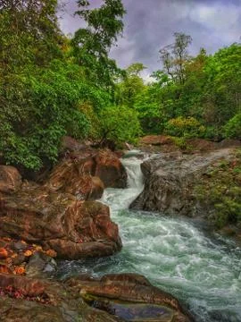 Water fall in a dense forest. Stock Photos