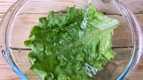 Water fall down on lettuce in plate, closeup, super slow motion Stock Footage 148775048