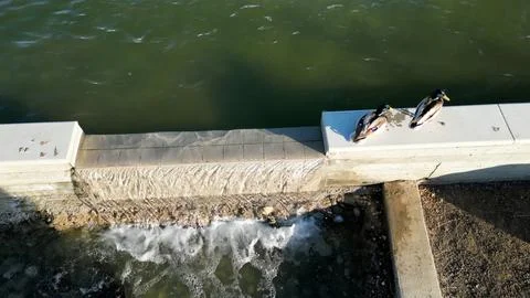 Water Fall Ducks Foto stock