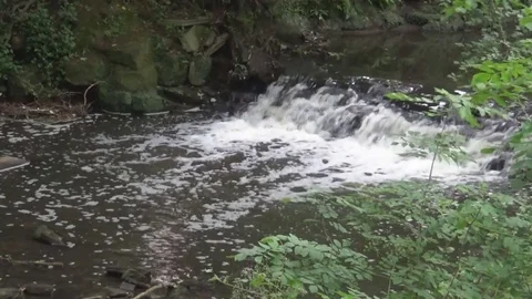 Water fall Video stock 81763762