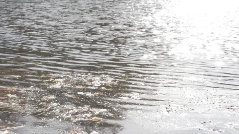 Water in the fall Stock Footage 114247235