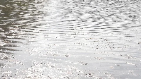 Water in fall Stock Footage 114247236